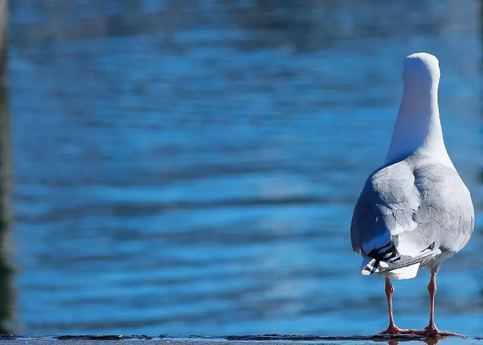 Hafenschloesschen Büsum